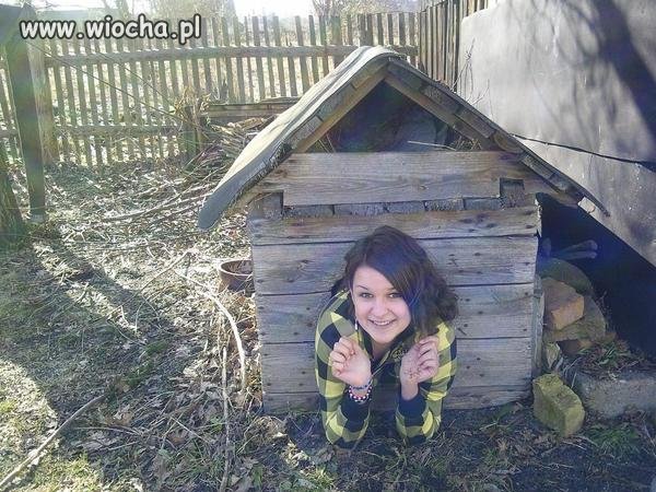Kto chce pieska?