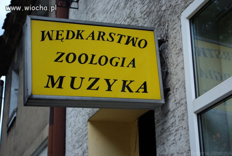 Poprosze spławik do gitary