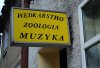 Poprosze spławik do gitary