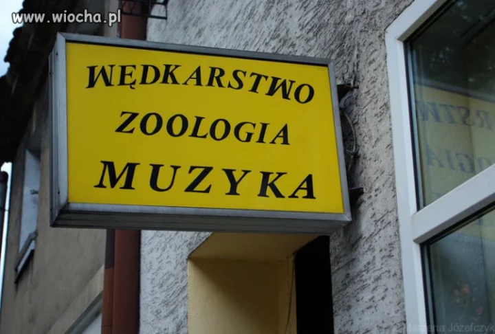 Poprosze spławik do gitary