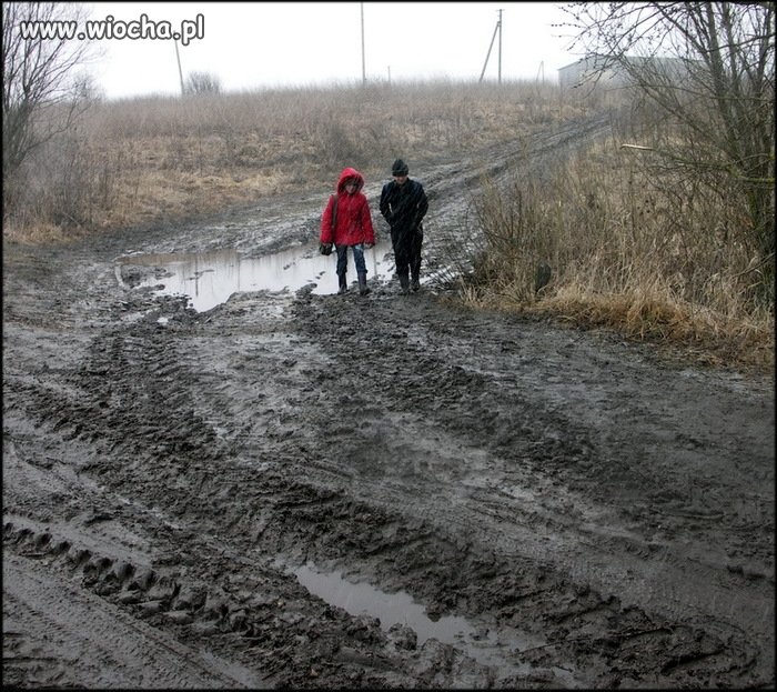 Polskie drogi...