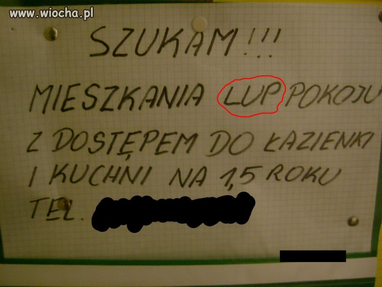 Ogłoszenie napisane przez osobę wykształconą.