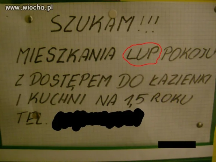 Ogłoszenie napisane przez osobę wykształconą.