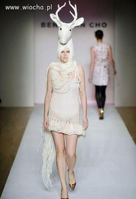 Współczesna moda