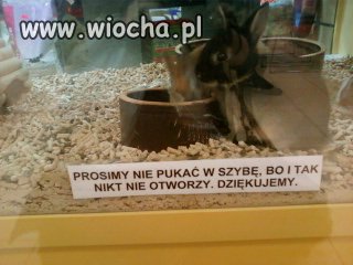 Dziwne dziwne...