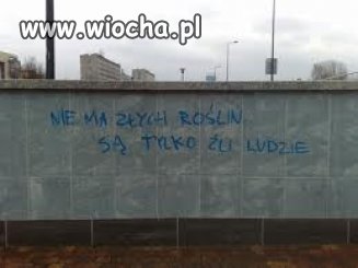 Największa wiocha na świecie to ...