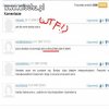 Wiocha w internecie,