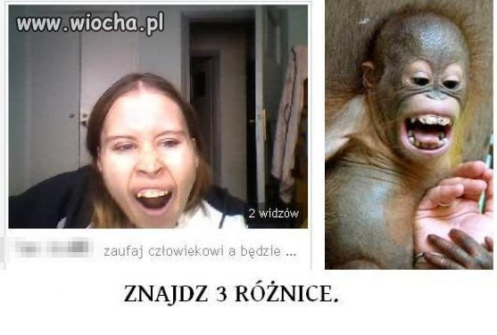 To prawdziwy dowód że człowiek od małpy powstał 