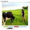 Nowa wiejska moda