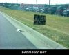 Może ktoś sobie go ugotuje?