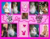Playmates!