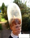 Jajogłowy