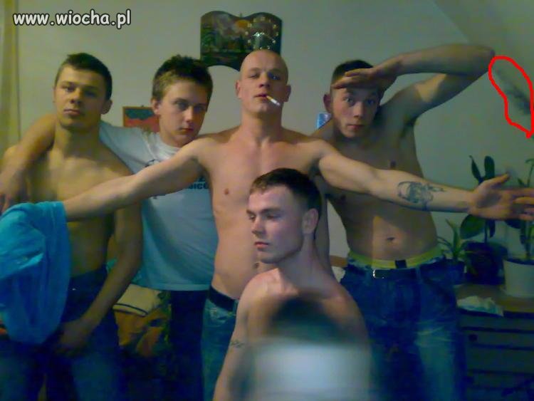 Gangsta Szczytno 