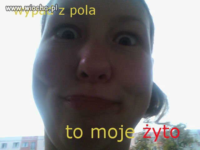 WYPAD Z POLA! MOJE ŻYTO!
