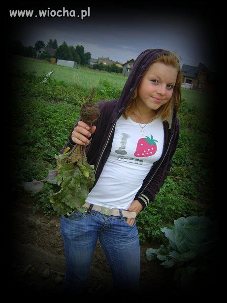 Lans na buraka