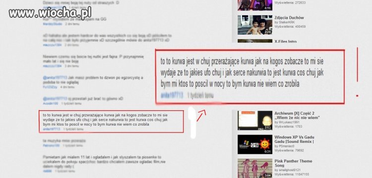 "Polacy nie gęsi