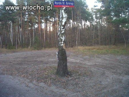 To dopiero jest szalony sen drogowca