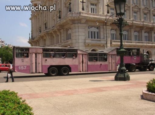 Autobus