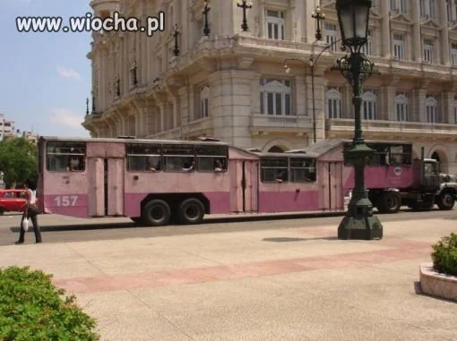 Autobus