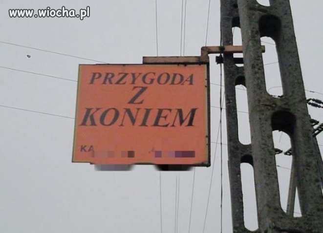 Przygoda z koniem