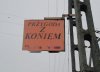 Przygoda z koniem