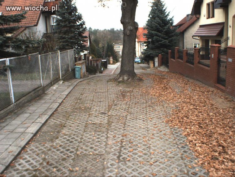 Polskie drogi...