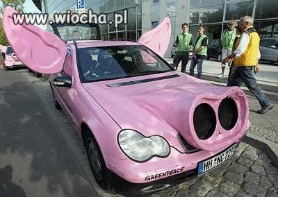 Świniocedes i na dodatek Różowy!