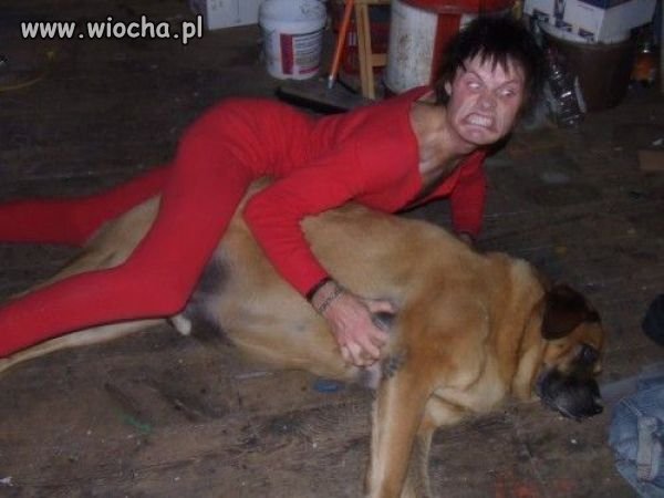 WTF?