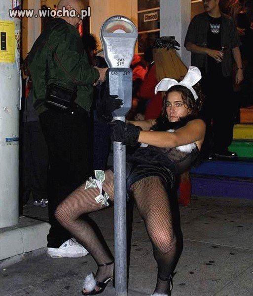 Laska ostro ćwiczy