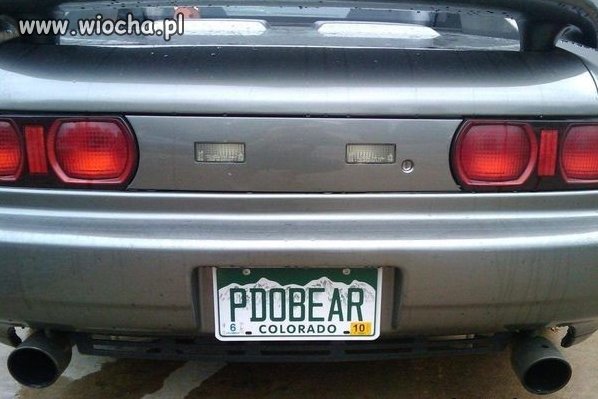 PDOBEAR