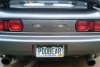 PDOBEAR