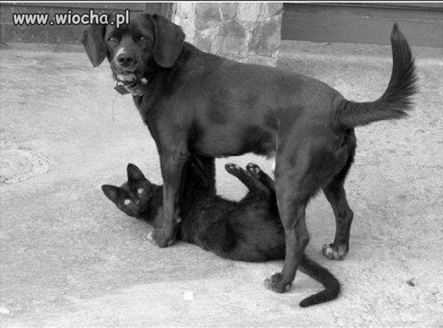 To nie jest tak