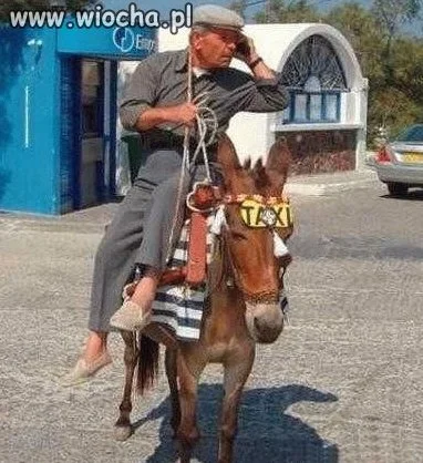 Gdzie podjechać?