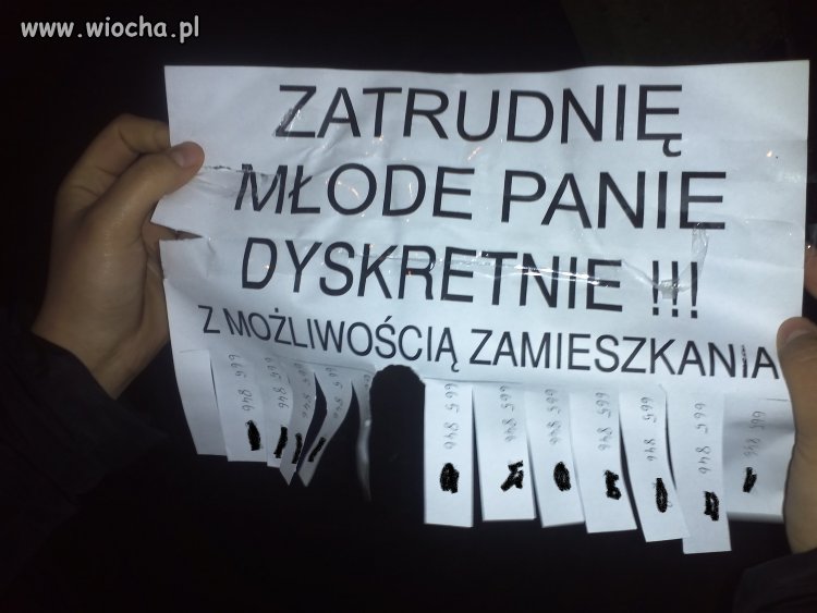 Noo baa zatrudniee ha 