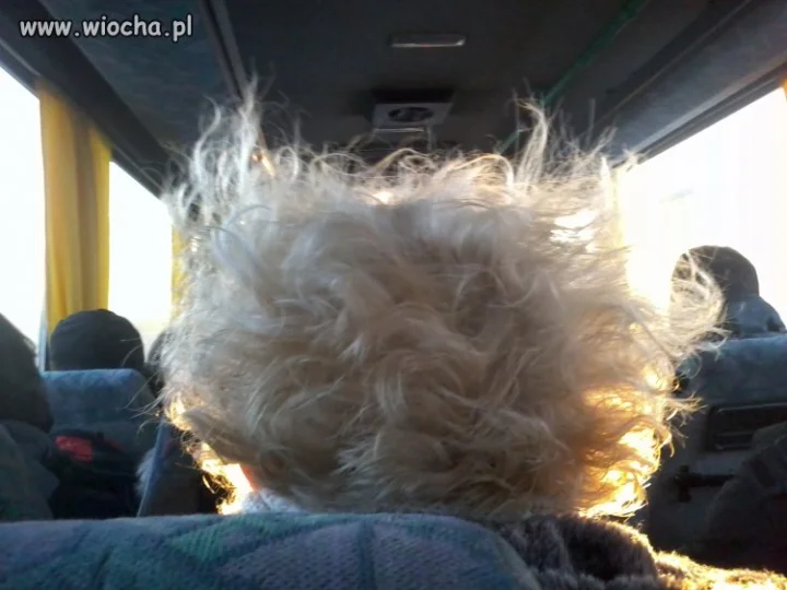 "Sztorm na głowie"