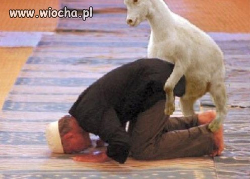 Dobre z pożytecznym
