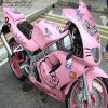 Wielki fan hello kity
