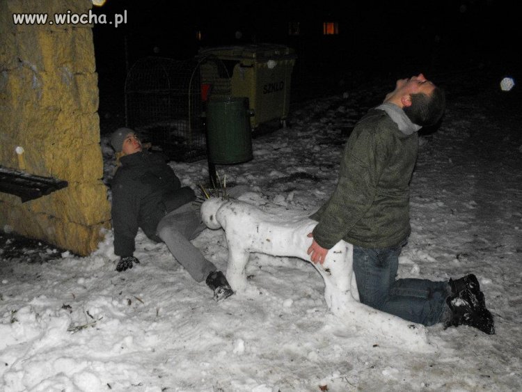 Panów chyba nie stać na normalną dziewczynę...