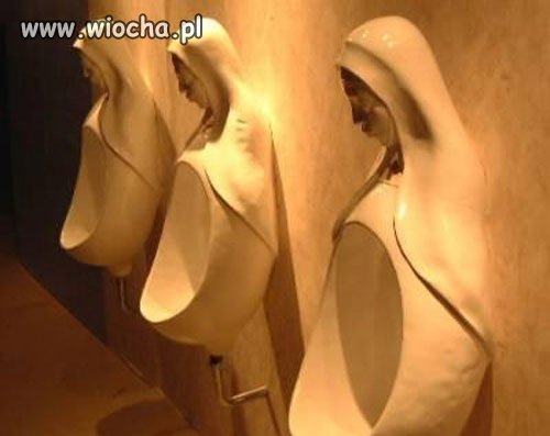 Lej do zakonnicy 