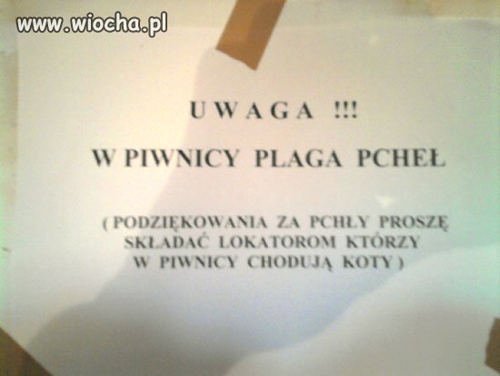 Ostrzeżenie przed
