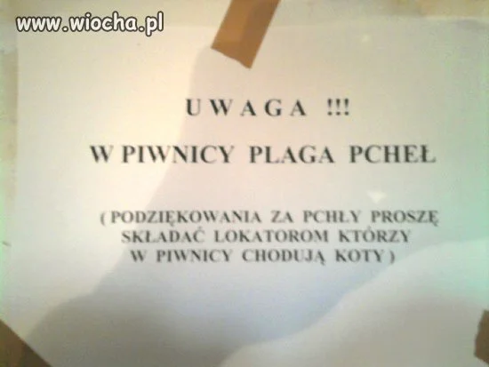 Ostrzeżenie przed