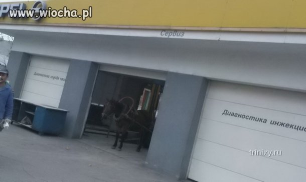 Ruski...