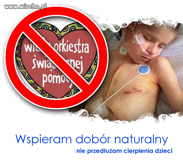 Osobiście w pełni popieram akcję Owsiaka. 