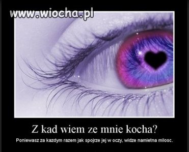 Ortografia na najwyższym poziomie