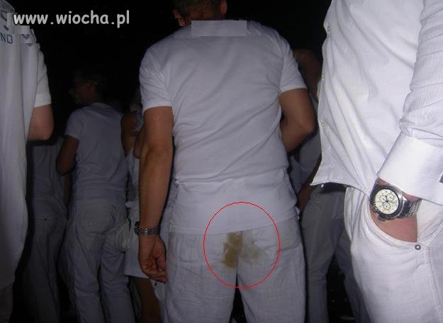 Dziewczyny lubią brąz aha.. aha..