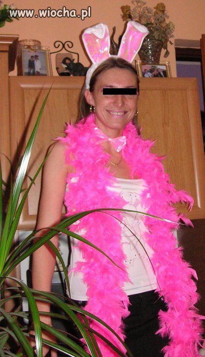 Króliczek playboya...