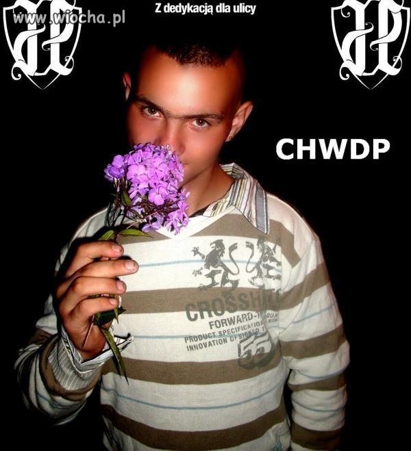 JP CHWDP. A po co mu te kwiatki ? 