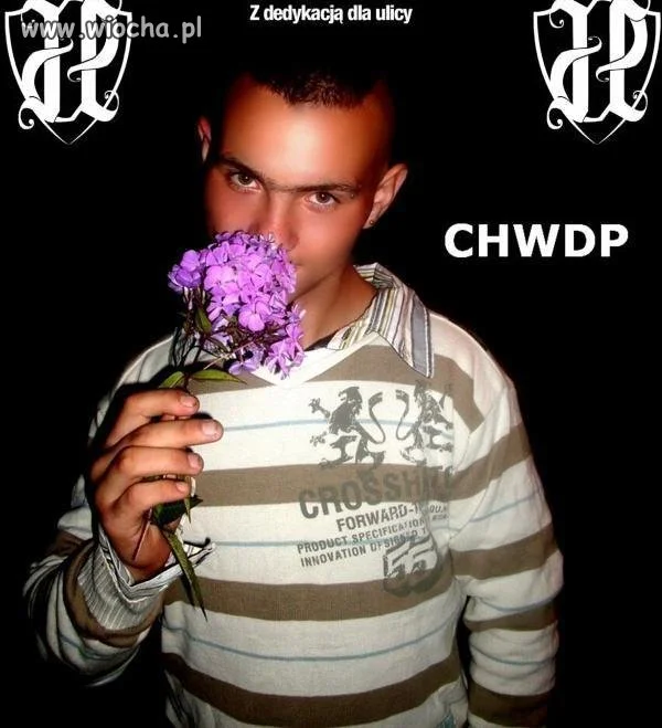 JP CHWDP. A po co mu te kwiatki ? 