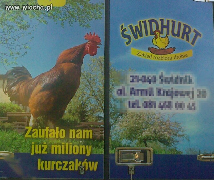 Dziękuje za takie zaufanie.