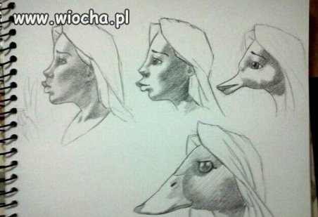 Dzióbek - ewolucja...